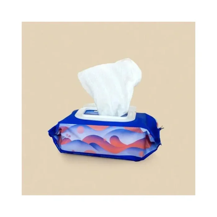 Dame Body Wipes 25 ct