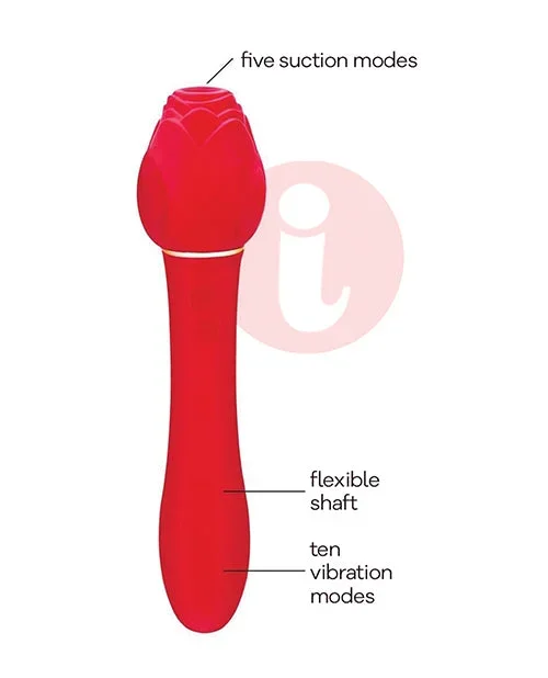 Wild Rose & Vibrator – Red